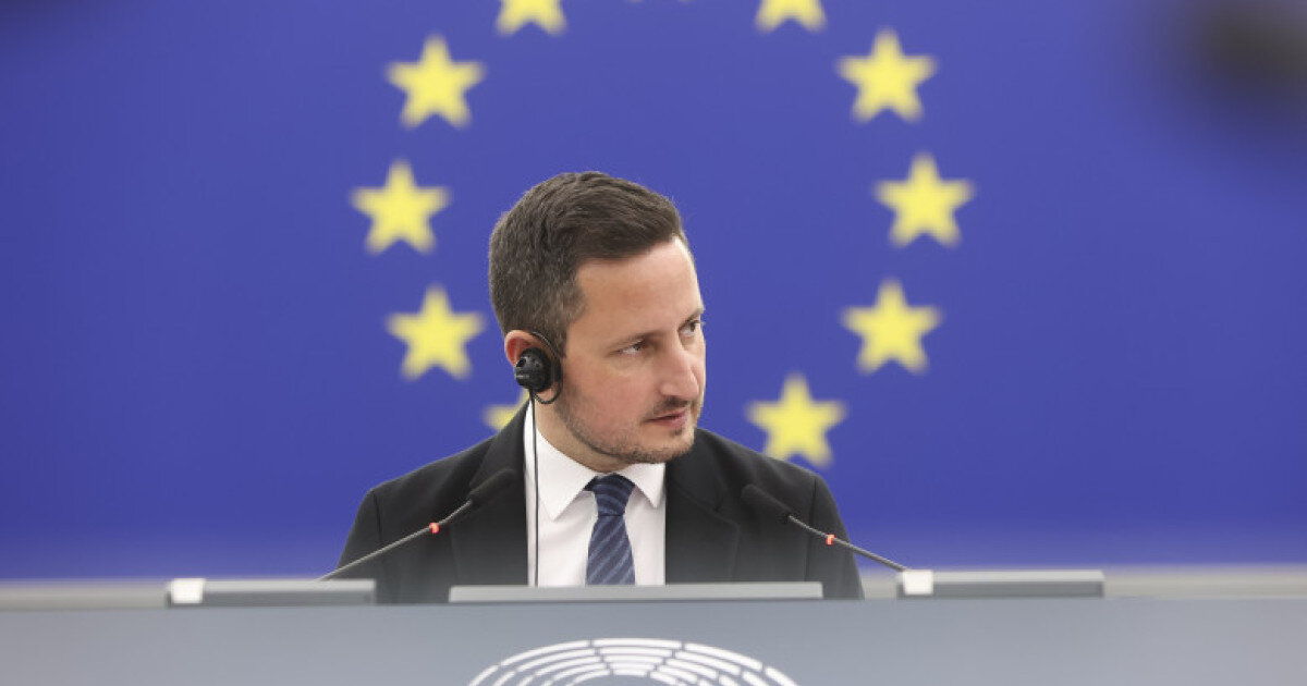 exclusiv nicu stefanuta compara situatia din germania cu cea din romania dupa scorul afd aur sta bine si pe strada nu doar in sondaje 6a9e84fbc90d5
