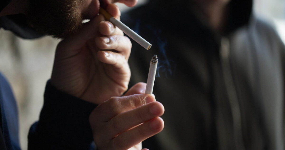 inteligenta artificiala ajuta bandele criminale sa si dezvolte retelele ilegale de tutun avertizeaza un auditor ue 6aa07815ad7d2