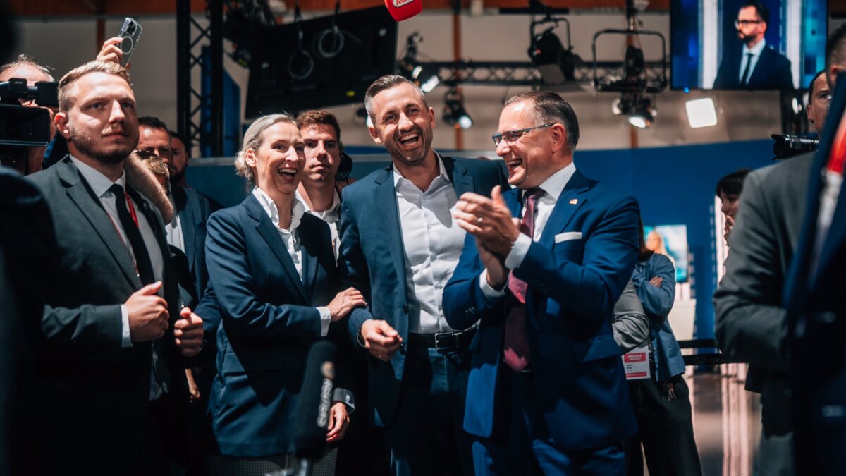 prof vasile neacsa ce inseamna victoria partidului alternativa pentru germania afd 6aa19f25ea2ae
